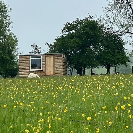 Off Grid Shepherds Hut Hotel Llansilin Exterior foto