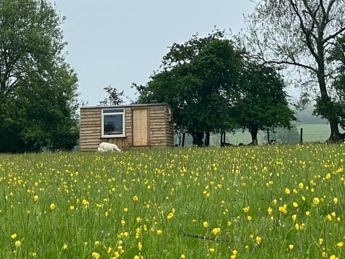 Off Grid Shepherds Hut Hotel Llansilin Exterior foto