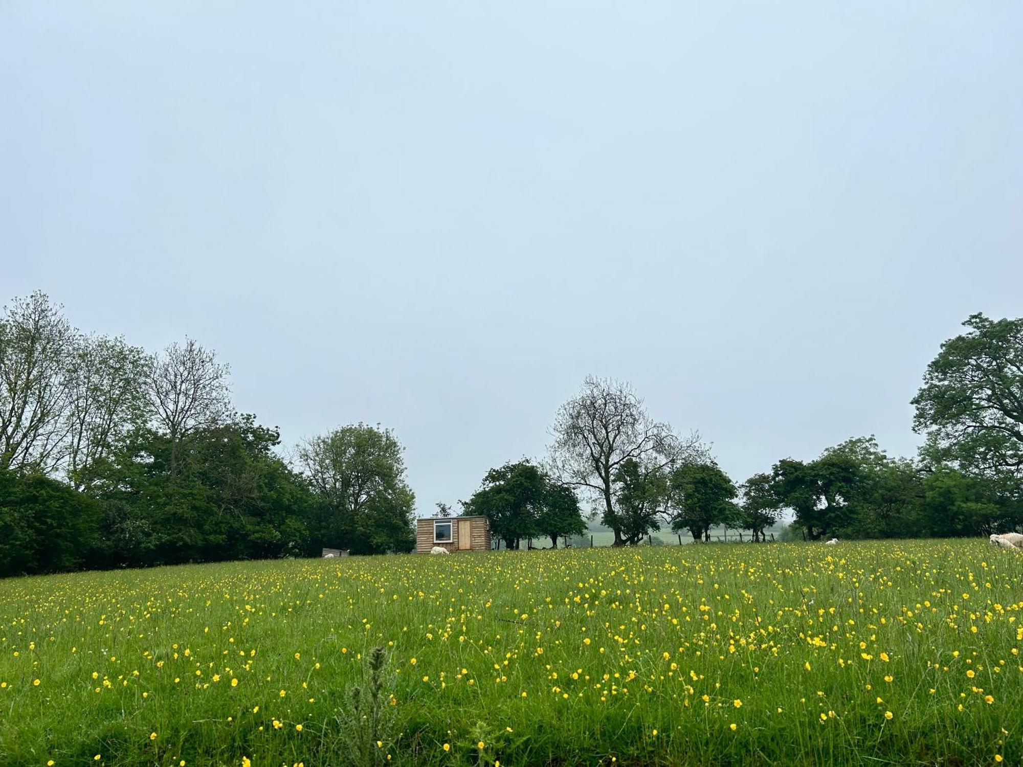 Off Grid Shepherds Hut Hotel Llansilin Exterior foto